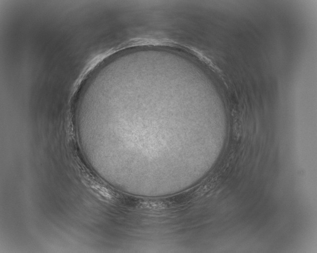 X0000059231215200511111539