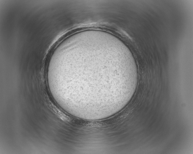 X0000059231216200511111539