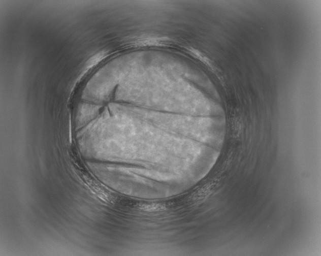 X0000059231219200511111539