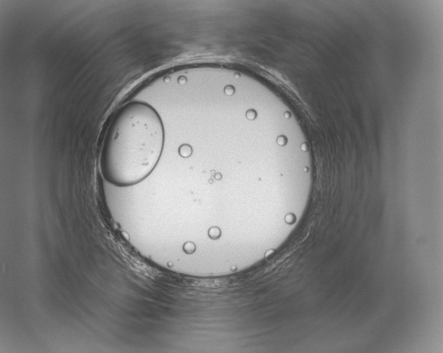 X0000059231220200511111539