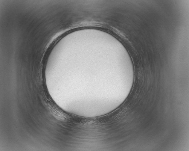 X0000059231222200511111539