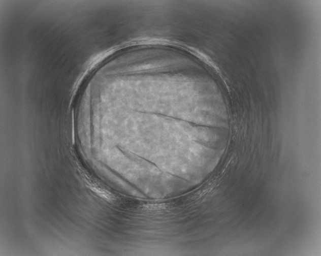 X0000059231223200511111539