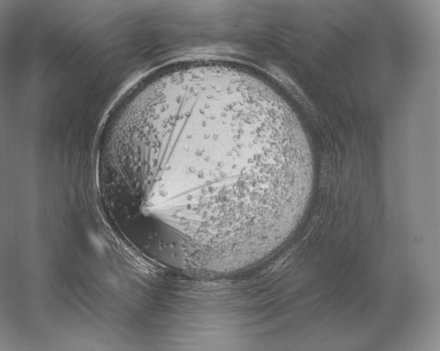 X0000059231224200511111539