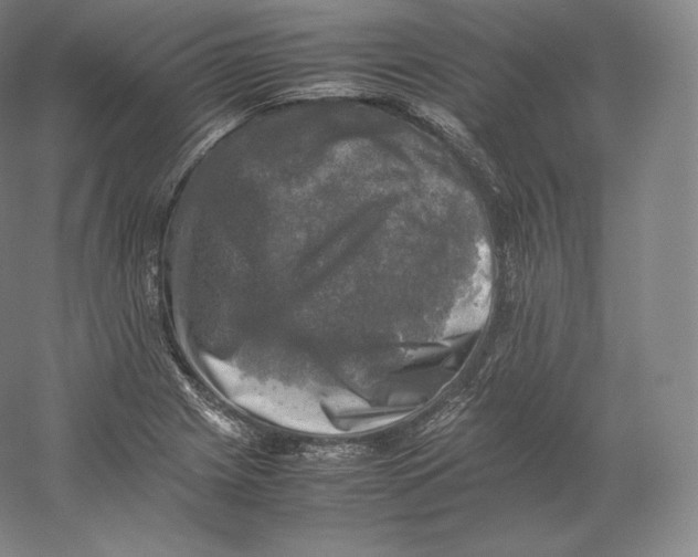 X0000059231225200511111539