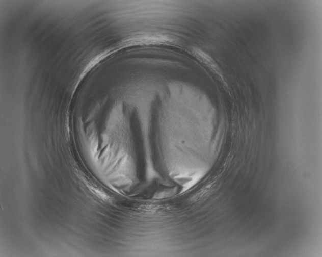 X0000059231226200511111539