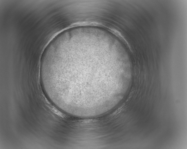 X0000059231228200511111539