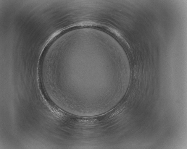 X0000059231229200511111540