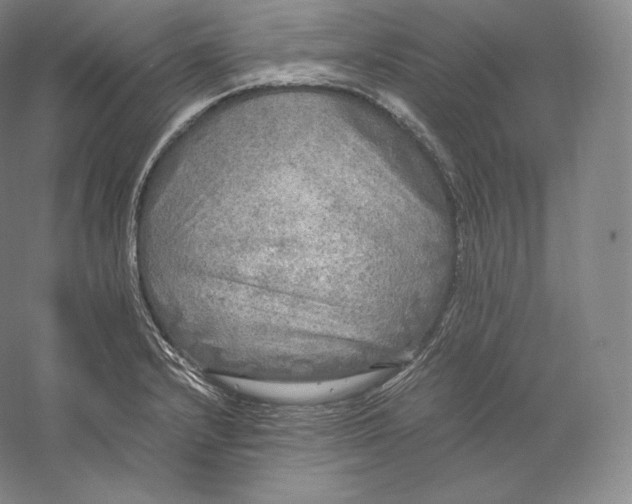 X0000059231232200511111540