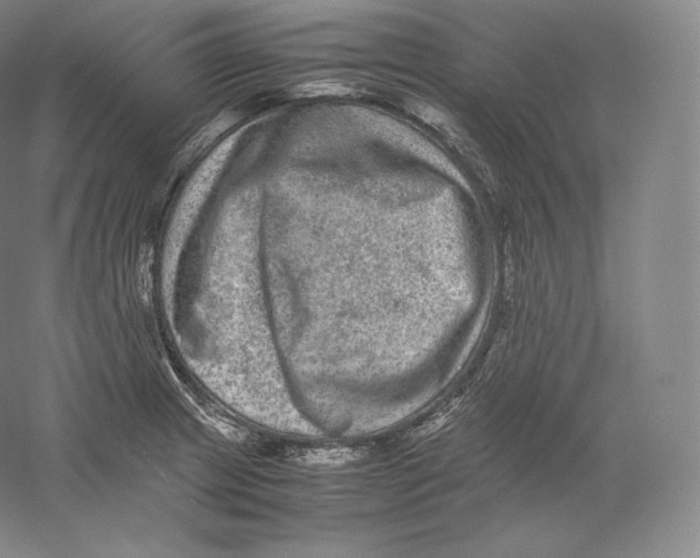 X0000059231233200511111540