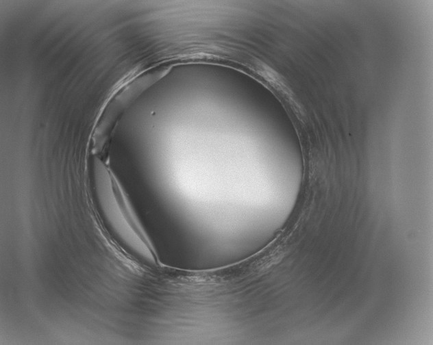 X0000059231234200511111540