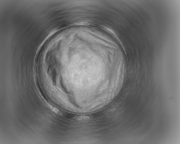 X0000059231235200511111540