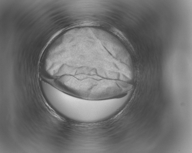 X0000059231236200511111540