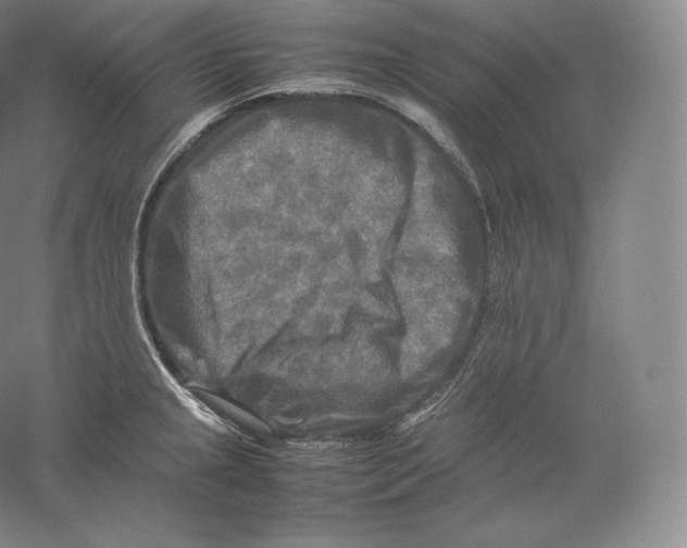 X0000059231237200511111540