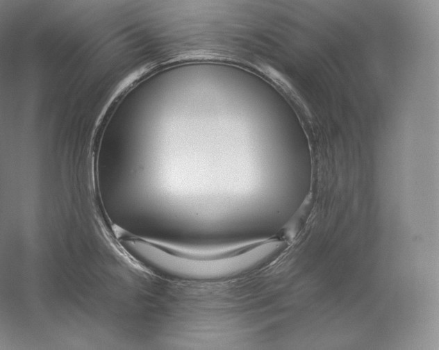 X0000059231238200511111540