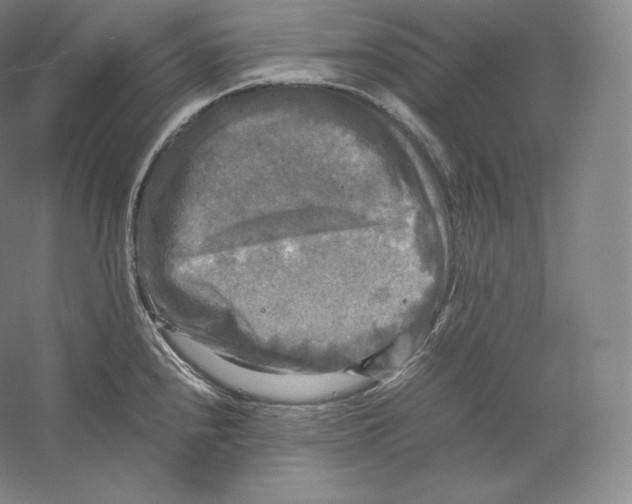 X0000059231240200511111540