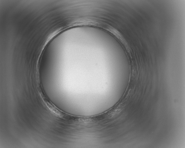 X0000059231242200511111540