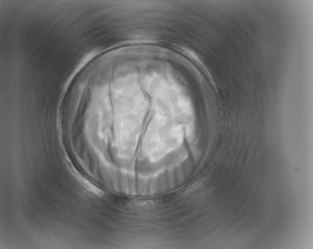 X0000059231243200511111540