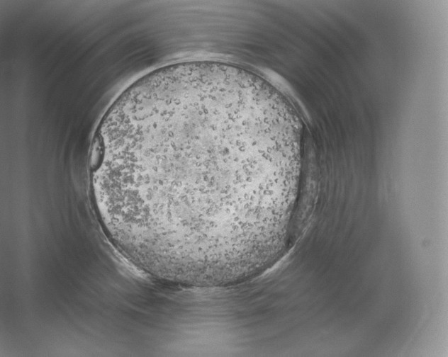 X0000059231244200511111540