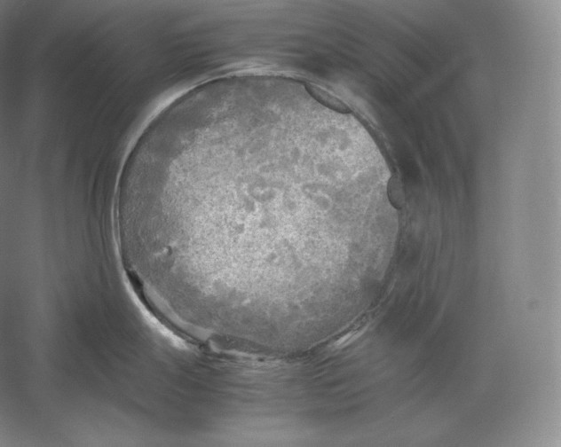 X0000059231247200511111540