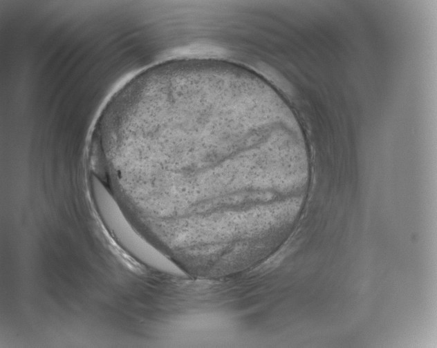 X0000059231248200511111540