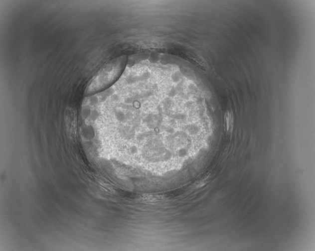 X0000059231251200511111539