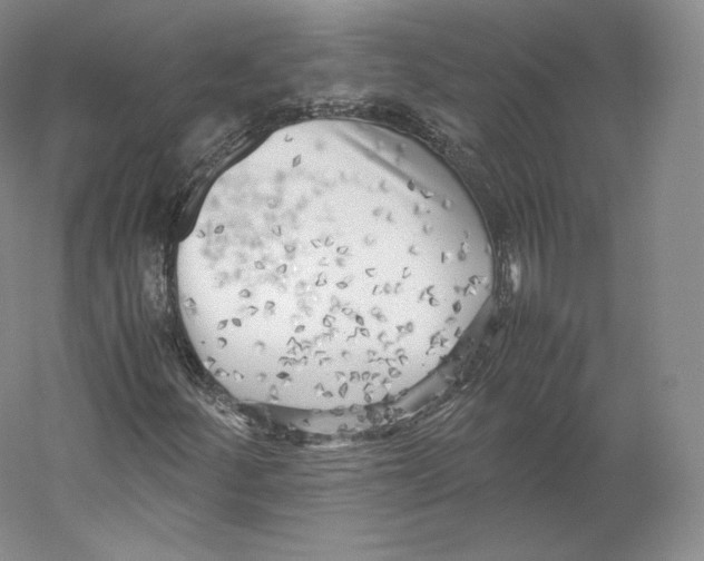 X0000059231252200511111539