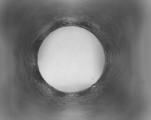 X0000059231253200511111539