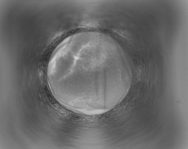 X0000059231254200511111539