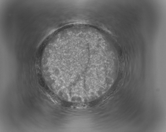 X0000059231255200511111539