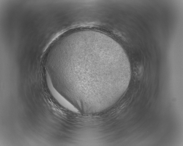 X0000059231256200511111539