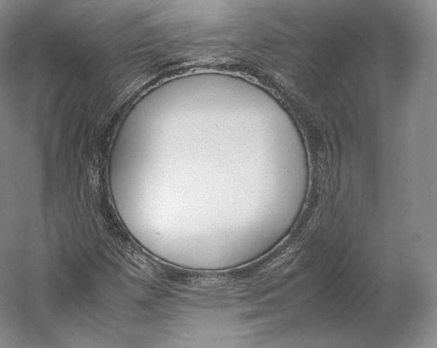 X0000059231257200511111539