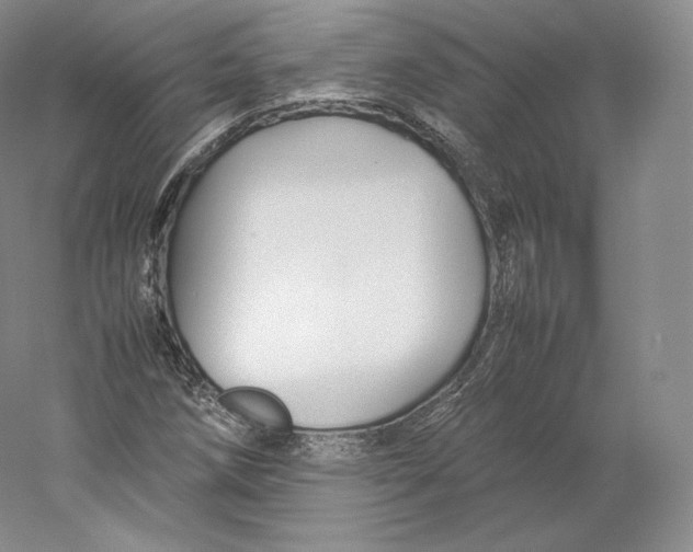 X0000059231258200511111539