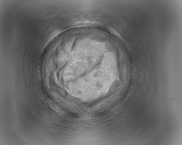 X0000059231259200511111539