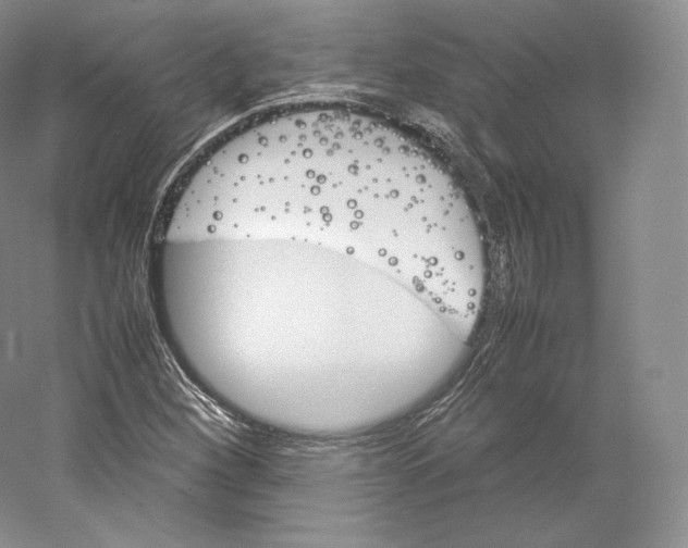 X0000059231260200511111539