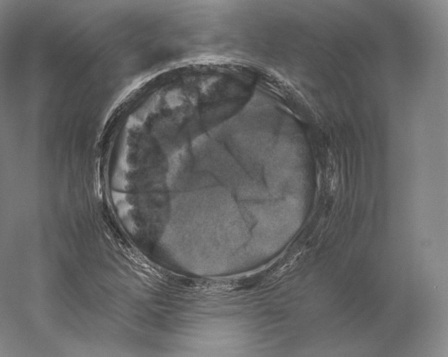 X0000059231262200511111539