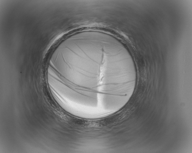 X0000059231263200511111539