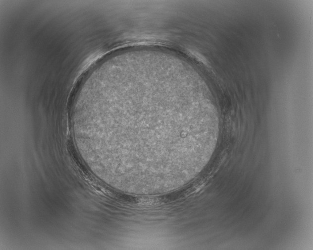 X0000059231267200511111539