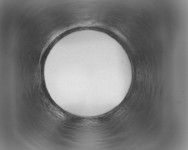 X0000059231270200511111539