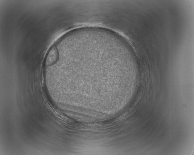 X0000059231271200511111539