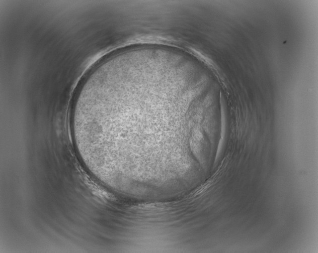 X0000059231272200511111539