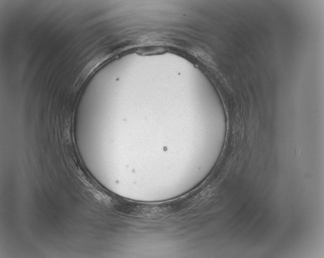 X0000059231273200511111539