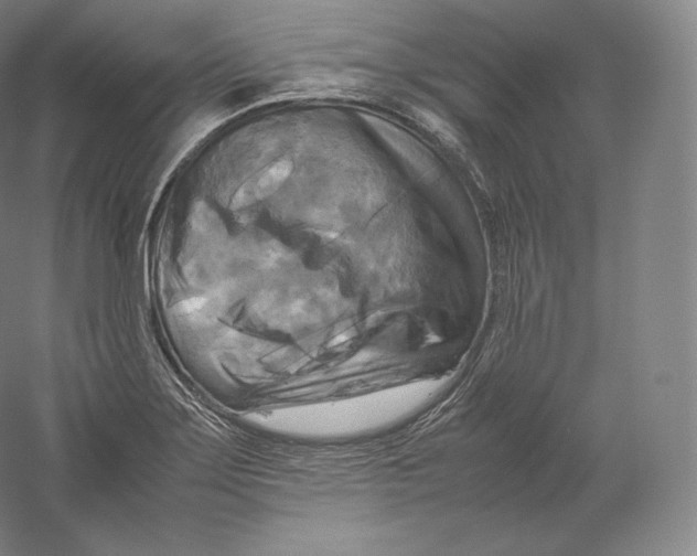 X0000059231275200511111538