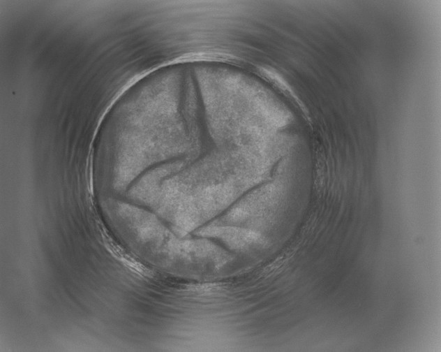 X0000059231276200511111538