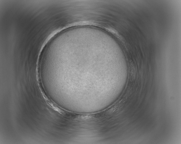 X0000059231278200511111538