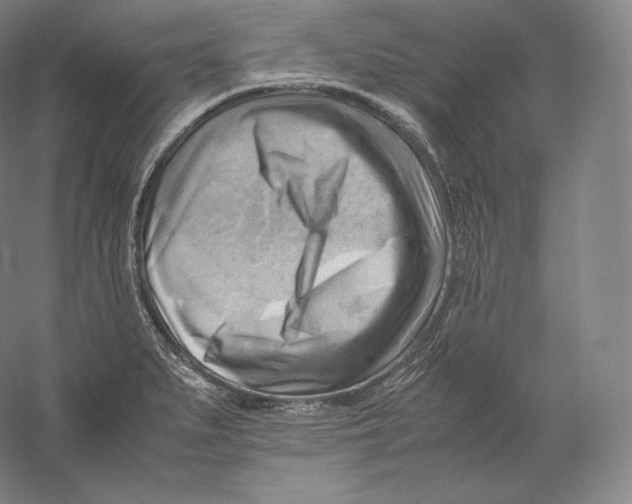 X0000059231279200511111538