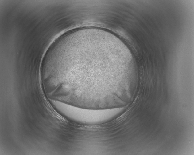 X0000059231280200511111538