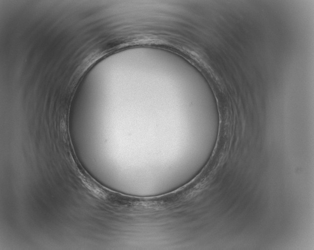 X0000059231281200511111538