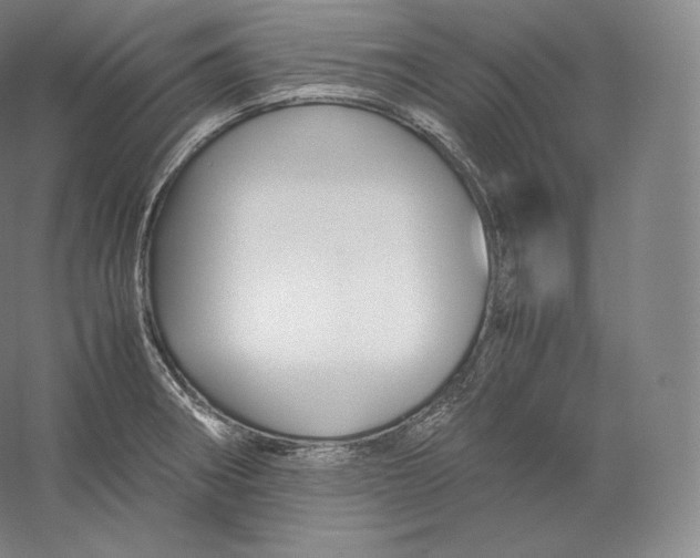 X0000059231282200511111538