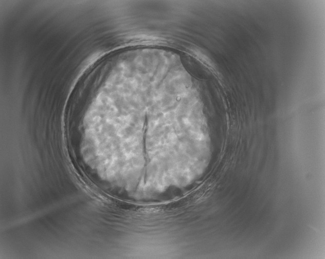 X0000059231283200511111538