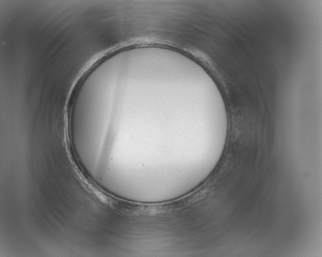 X0000059231286200511111538